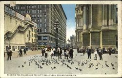 Feeding The Pigeons On The City Hall Plaza Postcard