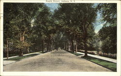 South Street Auburn, NY Postcard Postcard