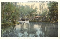 Tomoka River Postcard