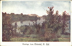 Greetings From Oriental North Carolina Postcard Postcard