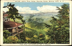 St. John's River Gorge Postcard