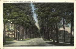 Looking Out Locust Street Postcard