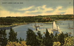 Quisett Harbor Postcard