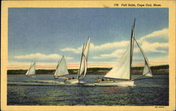 Full Sails Cape Cod, MA Postcard Postcard