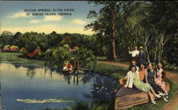 Silvian Springs Glynn Haven Saint Simons, GA Postcard Postcard