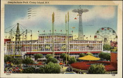 Steeplechase Park Coney Island, NY Postcard Postcard