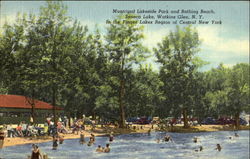 Municipal Lakeside Park And Bathing Beach Postcard