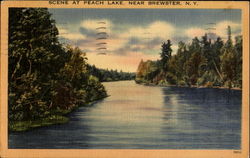 Scene At Peach Lake Postcard