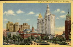 City Hall And Municipal Building Postcard