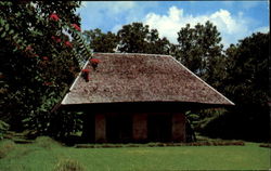 African House, Melrose Plantation Postcard