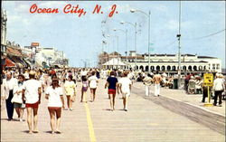 Ocean City New Jersey Postcard Postcard