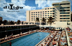 Hotel Dilido Miami Beach, FL Postcard Postcard