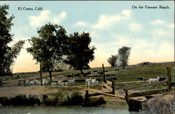 On The Forrester Ranch Postcard