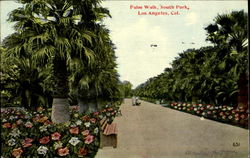 Palm Walk, South Park Postcard