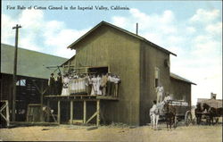 First Bale Of Cotton Ginned In The Imperial Valley Postcard