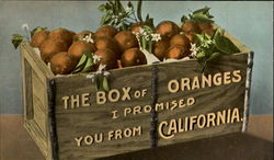 The Box Of Oranges from California Postcard