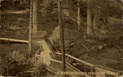 A Scene In Schmitz Park Postcard