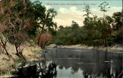 Way Down Upon The Suwannee River Postcard