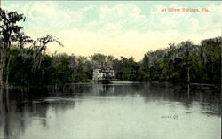 At Silver Springs Postcard