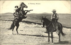 A Pitching Bronco Cowboy Western Postcard Postcard