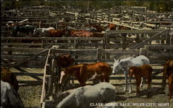 Clark Horse Sale Miles City, MT Postcard Postcard