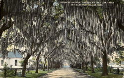 Benachi Avenue Biloxi, MS Postcard Postcard