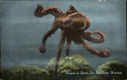 Octopus Or Squid Honolulu, HI Postcard Postcard