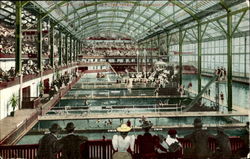 Interior Of Sutro Baths San Francisco, CA Postcard Postcard