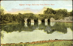 Aggasiz Bridge, Back Bay Fens Postcard