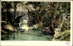 Bridge In Cherokee Park Louisville, KY Postcard Postcard