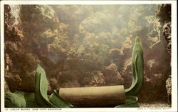 Green Moray Postcard