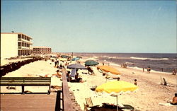 Ocean City Beach Postcard