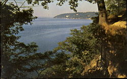 White Banks Elk Neck, MD Postcard Postcard