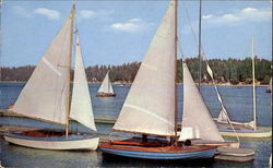 Sailing Is Very Popular On Deep Creek Lake Swanton, MD Postcard Postcard