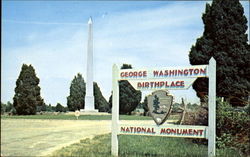 Washington's Monument Postcard