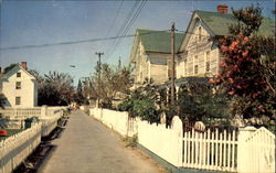 Street Scene In Quaint And Historic Tangier Island Virginia Postcard Postcard