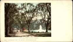 The Frog Pond Postcard