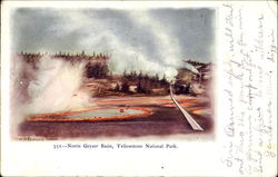 Norris Geyser Basin Yellowstone National Park, WY Postcard Postcard