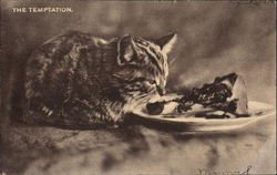 The Temptation Cats Postcard Postcard