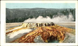 Punch Bowl Postcard