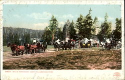 Wylie Permanent Camp, Yellowstone Park Yellowstone National Park Postcard Postcard