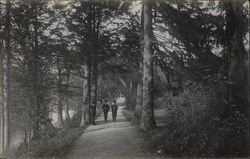 Lovers Lane, Bronx Park New York City, NY Postcard Postcard