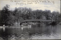 Swan Bridge, Central Park New York, NY Postcard Postcard