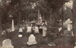 View in Mount Albion Cemetery Postcard