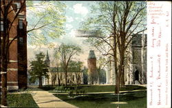 Harvard Grounds Cambridge, MA Postcard Postcard