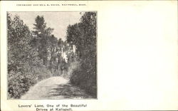 Lovers Lane Postcard