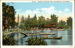 Scene In Lincoln Park Postcard