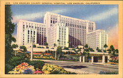 Los Angeles County General Hospital Postcard