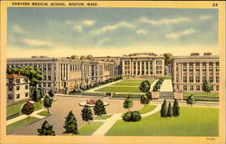 Harvard Medical School Boston, MA Postcard Postcard