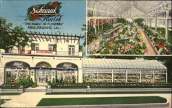 Scheinuk's, 2600 St. Charles Ave. New Orleans, LA Postcard Postcard